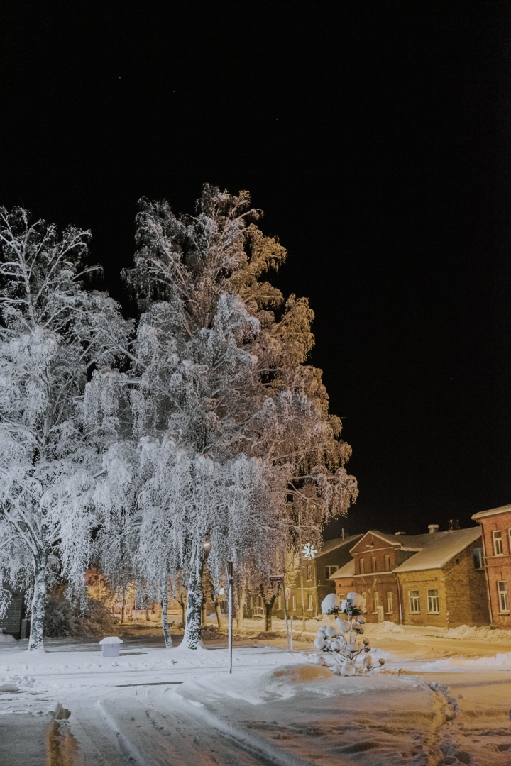 Kristera Reiņa fotogrāfiju izstāde "Ziemas raksti"