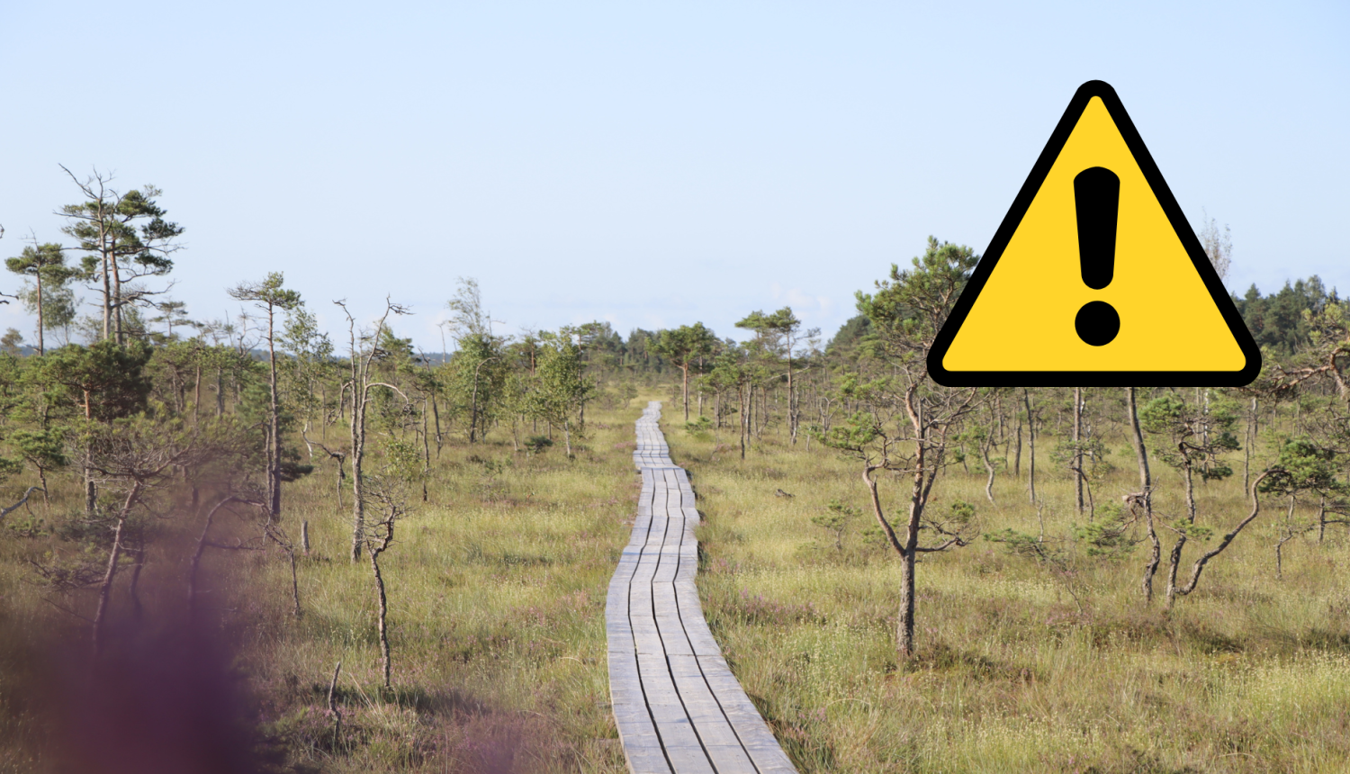 Dunikas turva taka Dienvidkurzeme