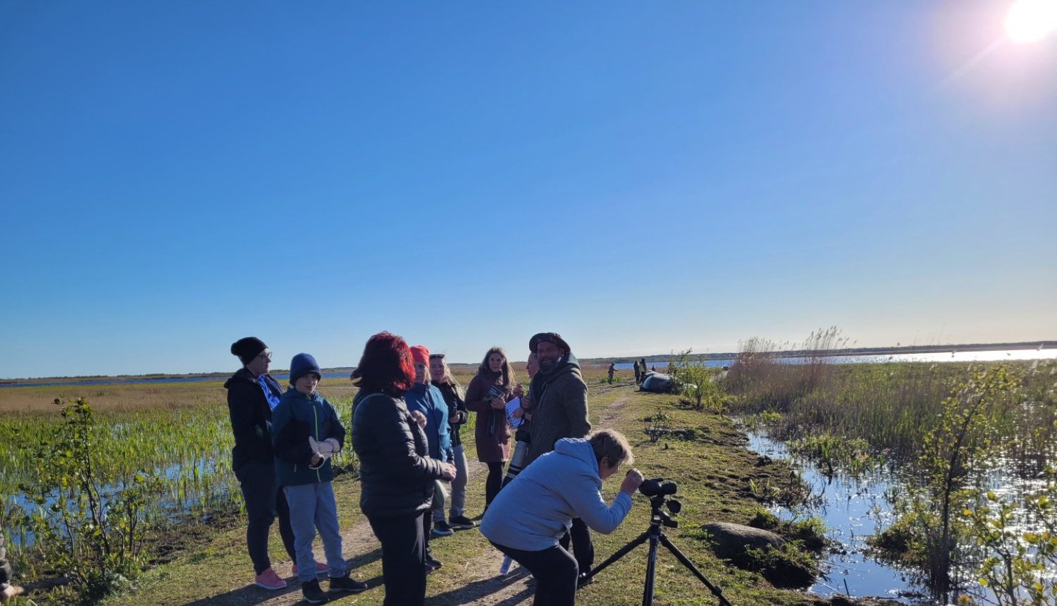Putnu vērošana_23.05.2025