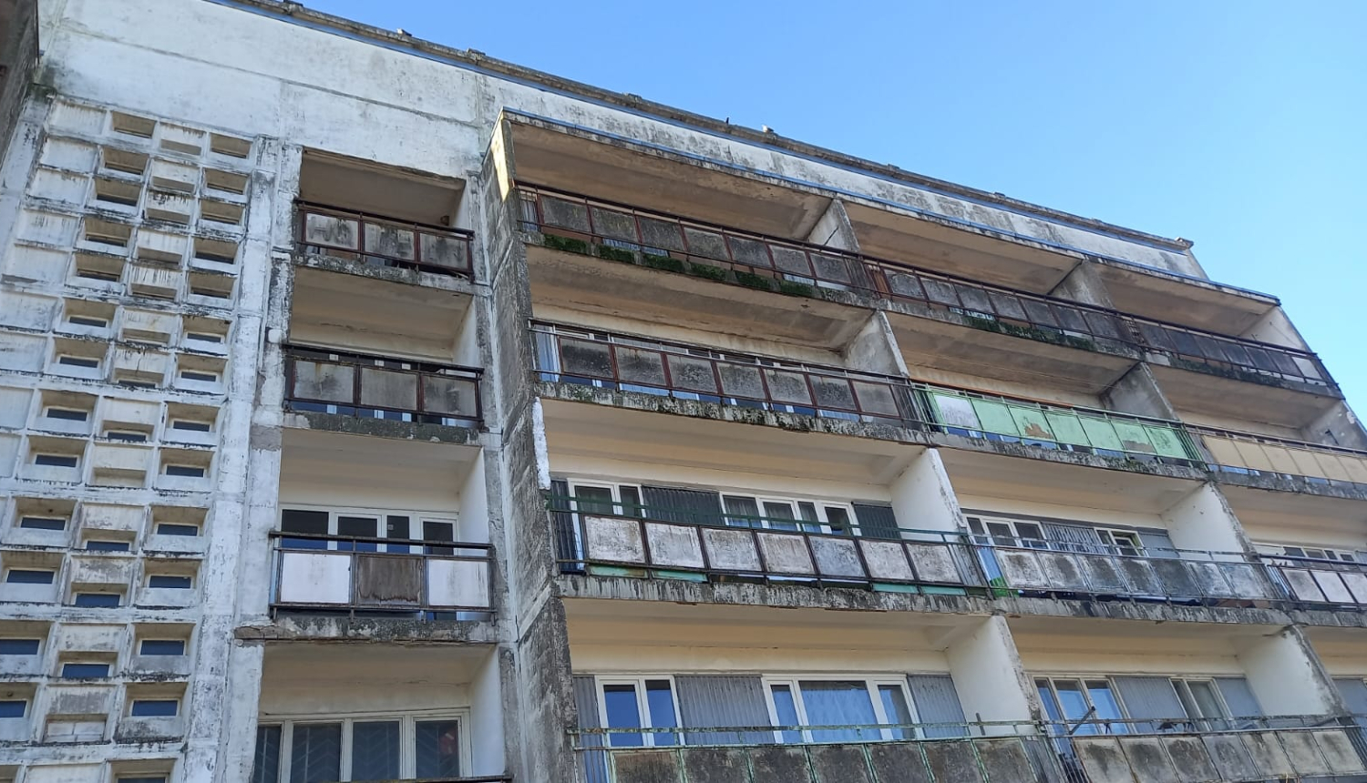 WhatsApp Image 2025-02-06