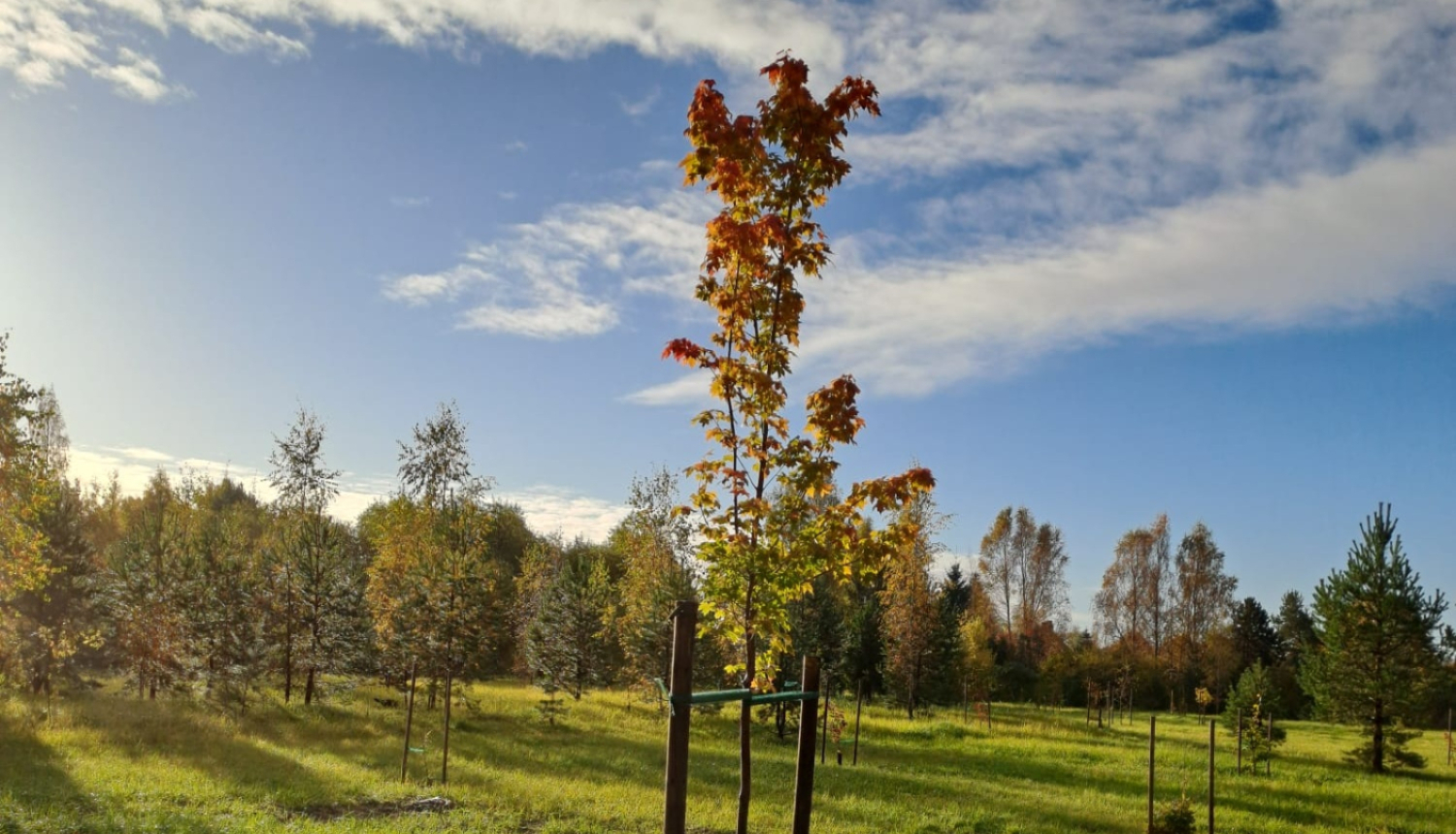 Zaļumvieta Kalēju ielā 2 Grobiņā
