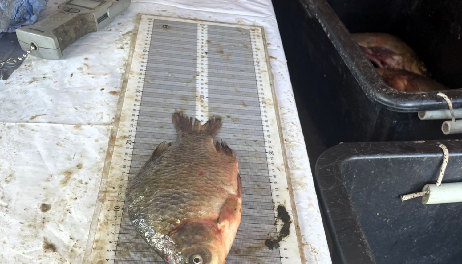 Prūšu ūdenskrātuve