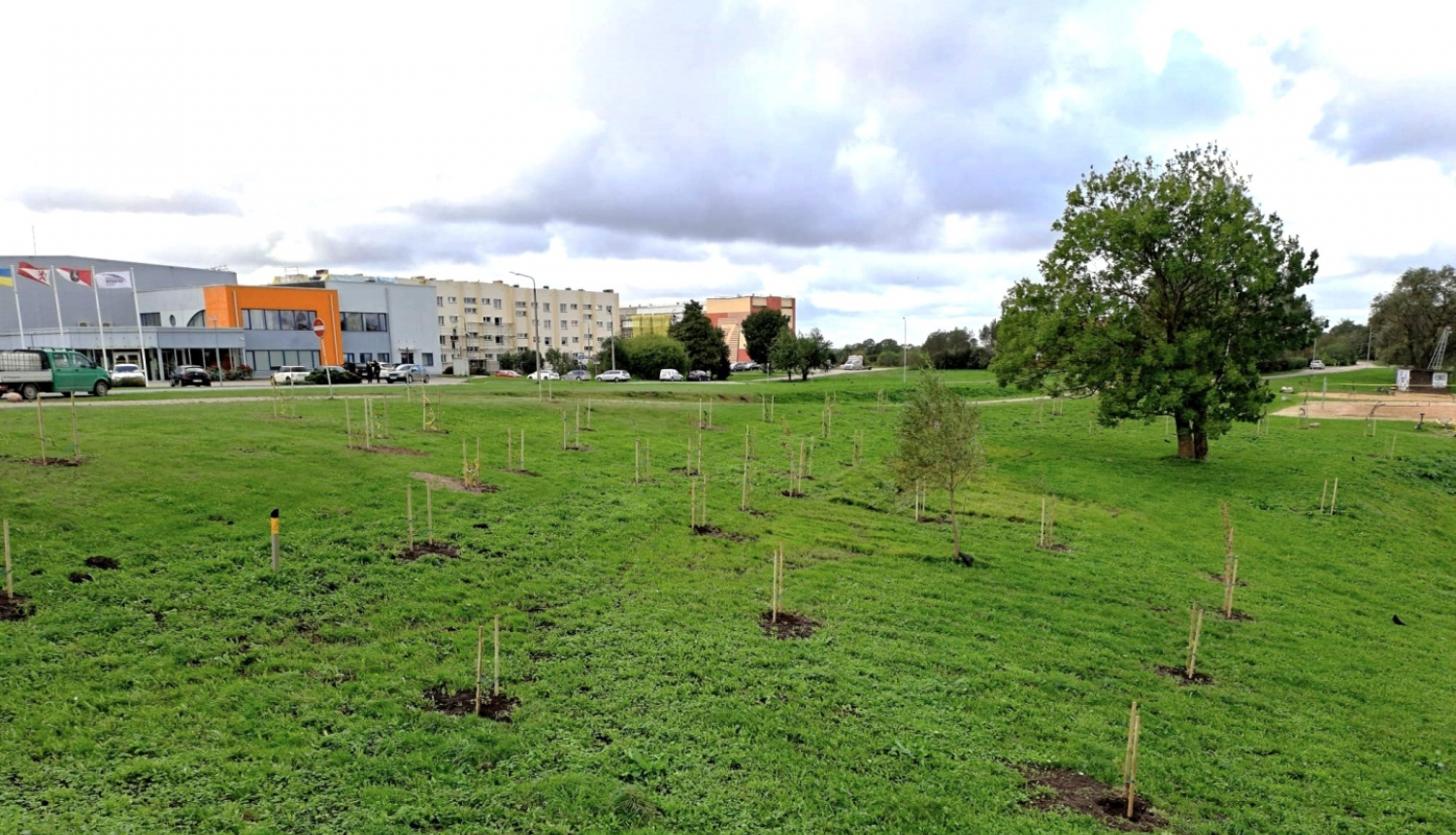 Grobiņas stādījumi