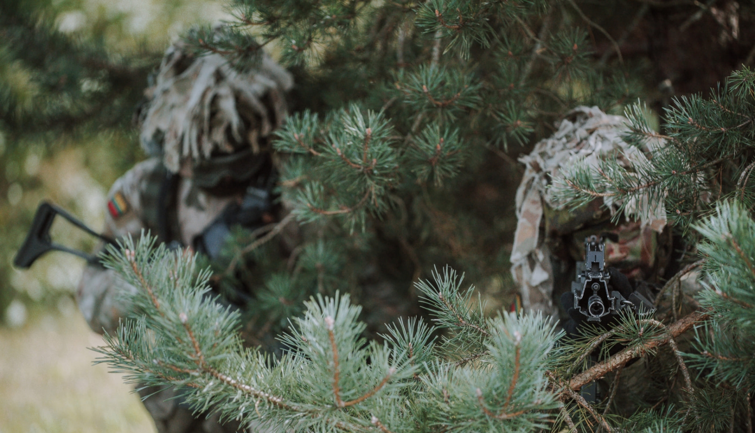 Namejs - cimdeniekos