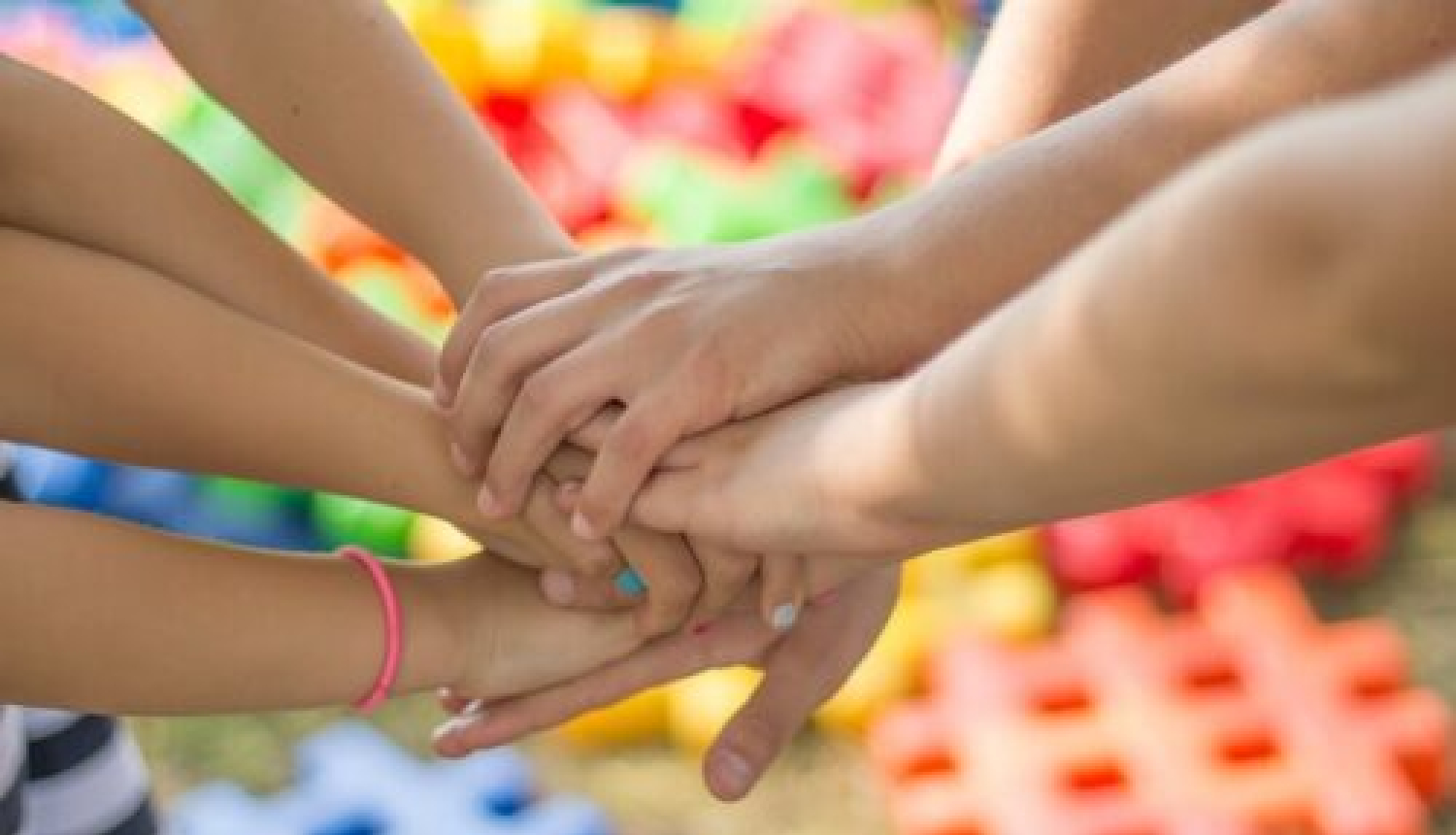 publiska-labuma-organizacija-500x330