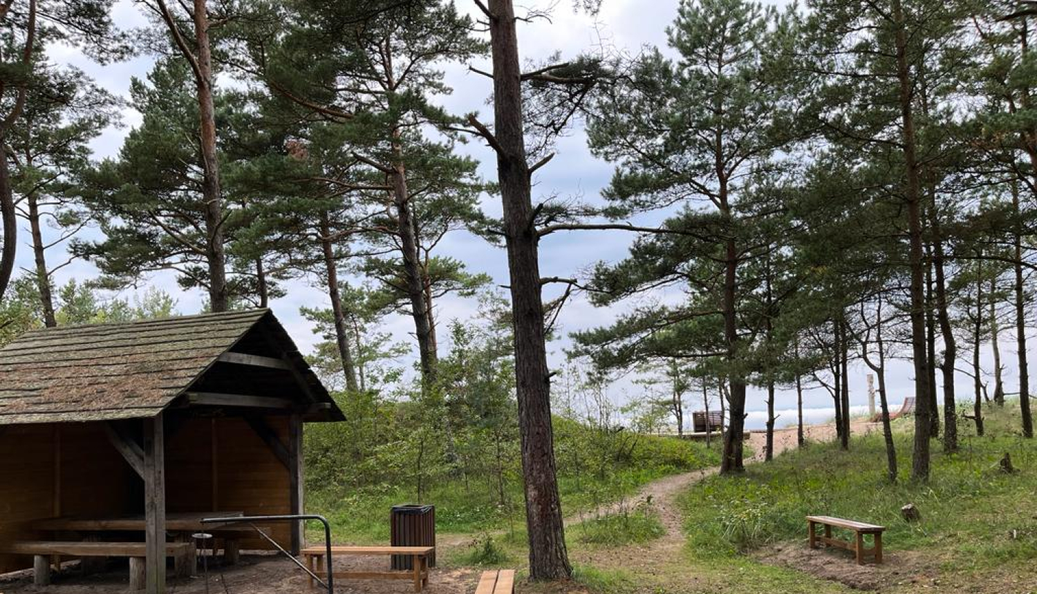 Piekrastes apsaimniekošanas praktisko aktivitāšu realizēšana