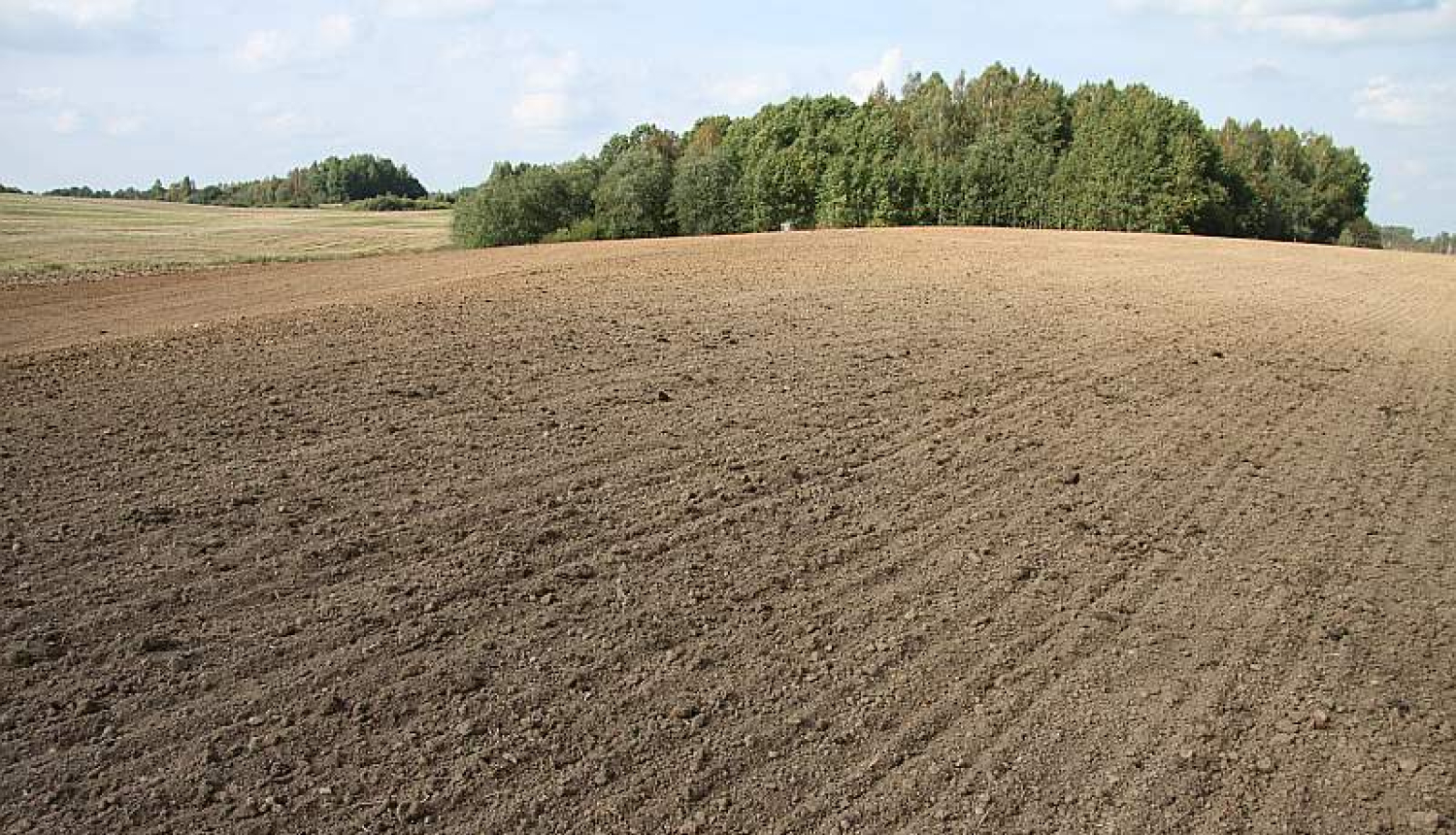 Lauksaimniecības zeme