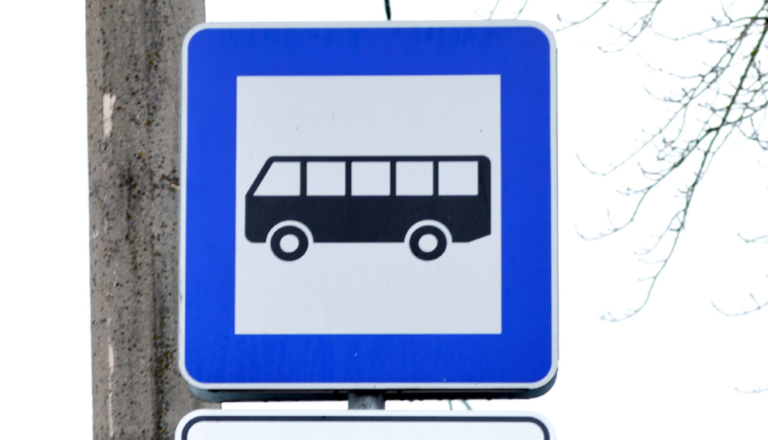 Autobusa pietura