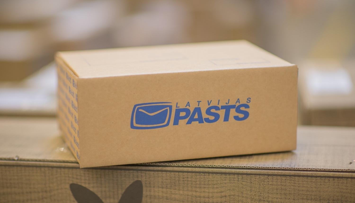 Pasts